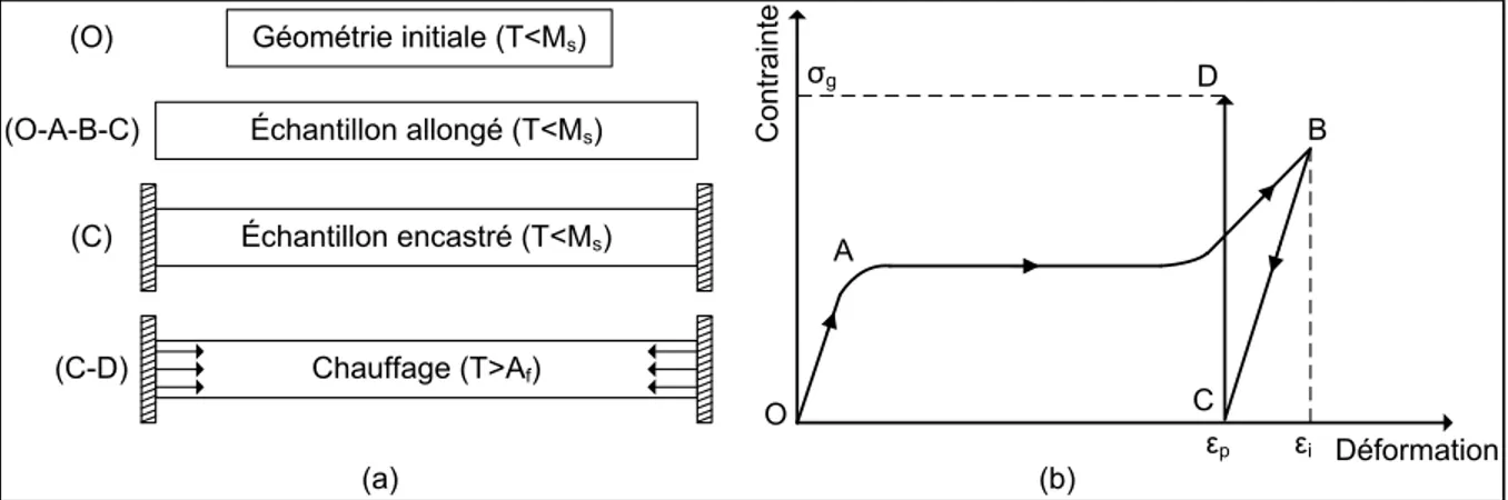 Figure 1.4  a) Représentation schématique du mécanisme de génération de contrainte sous  chauffage et b) courbe contrainte-déformation 