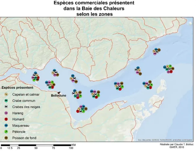 Figure 7. Espèces commerciales présentes dans la Baie des Chaleurs (MPO, 2013).