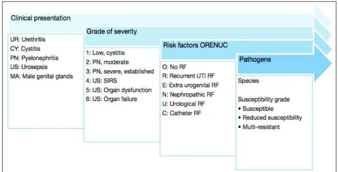 Figure 1 - Paramètres additifs de la classification des infections urinaires et de l’évaluation  de la gravité selon l’EAU (European Association of Urology) (6)