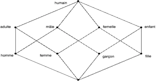 Figure 4 : Exemple d’un treillis 