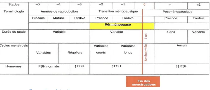 Tableau I : Les différents stades de l'activité ovarienne au cours de la vie d'une femme (5) 