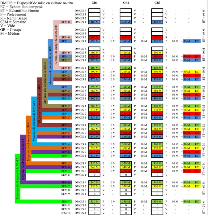 Figure 2.4 Projection du remplissage et prélèvement                                                  des médias utilisés dans le réacteur