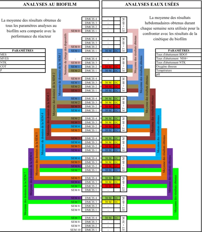 Figure 2.5 Corrélation des paramètres analysés (biofilm et eaux usées). 