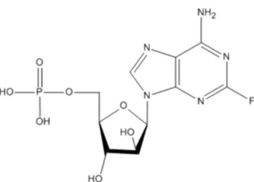 Figure 10 : Molécule de fludarabine