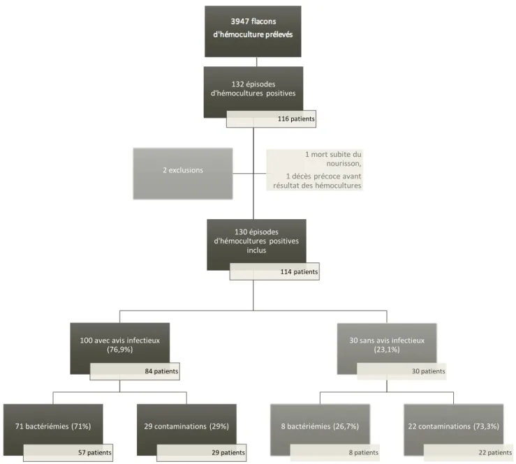 Figure 1 : Description des épisodes inclus 