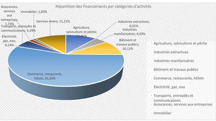 Graphique 6 : Répartition des financements par catégories d’activités 