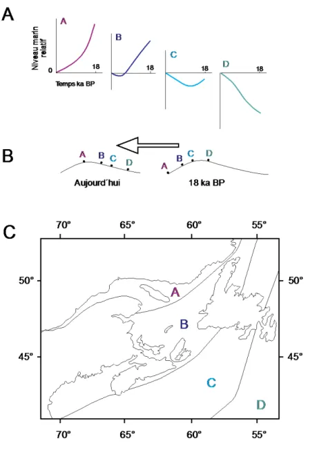Figure 3. A. Représentation des quatre principaux scénarios (A, B, C et  D) illustrant l’histoire des variations du NMR pour l’est du Canada et la  côte nord-est des États-Unis, de 18 kyr BP (~21,7 ka cal BP) à nos jours