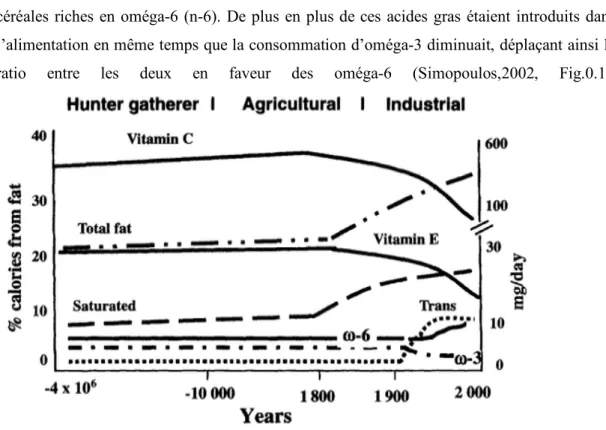 Figure 0.1 : Représentation théorique de l’évolution du régime alimentaire, tirée de Simopoulos, 2001