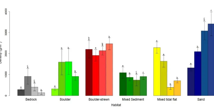 Figure 6. Mean (± SE) density (ind. m -2 ) for each segment of the six habitat classes (Bedrock, Boulder, Boulder-strewn, Mixed  sediment, Mixed tidal flat; n=15)