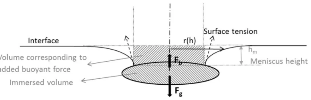 Figure 1: Forces acting on a floating axisymmetric object 55 