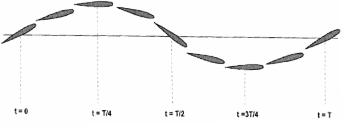 Figure 2.2 - Flottement d'une pale  d'éolienne 