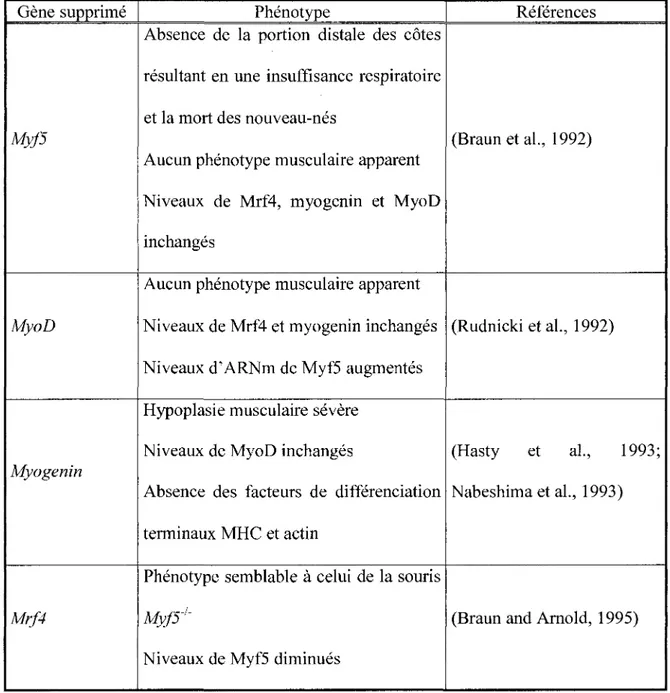 Tableau  1.1.  Phénotype des  souris dont les  gènes Myf5,  MyoD,  myogenin et Mrf4 ont été  inactivés