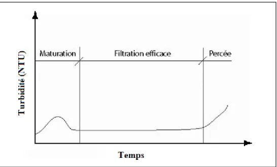 Figure 1.2 Shématisation des trois phases de filtration.                                               