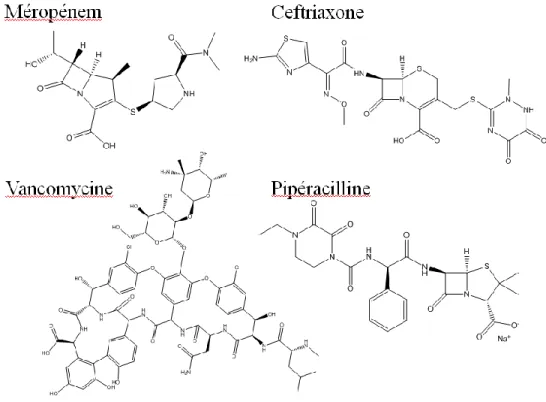 Figure 2.1 Structure chimique des antibiotiques sélectionnés. 