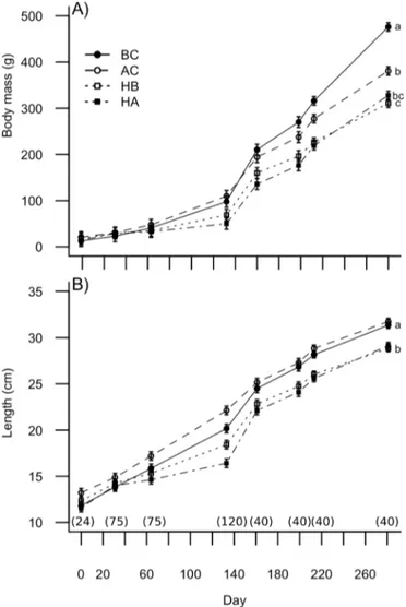 Fig. 2C). After 281 days, the proportion of matured fish was lower for HB than other groups (Fig