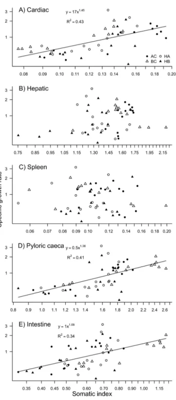 Fig. 3. Relationship between specific growth rate and (A) cardiac, (B) hepatic, (C) spleen, (D) pyloric caeca or (E) intestine somatic of Arctic char (AC), brook char (BC), hybrid female Arctic char (HA) and hybrid female brook char (HB).