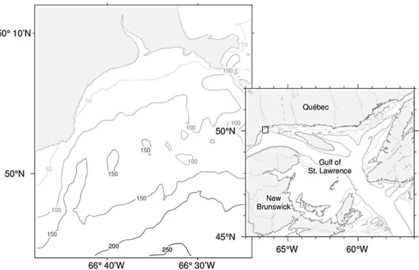 Figure 1.1 Map of the Gulf of St. Lawrence (right) with box indicating Baie Sainte- Sainte-Marguerite, enlarged at left