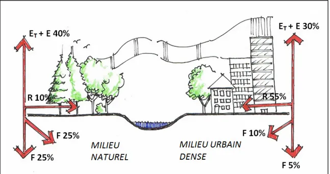 Figure 1.2 La modification du cycle hydrologique résultant de l’urbanisation. 