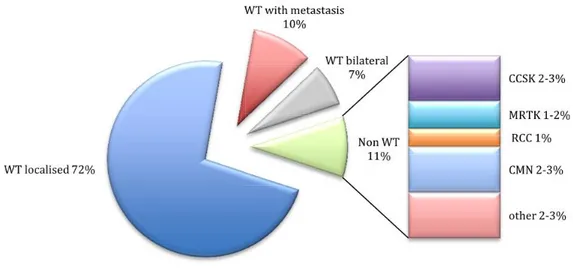Figure 2. Distribution des tumeurs rénales de l’enfant enregistrées dans le protocole  SIOP-RTSG WT 2001 [3] 