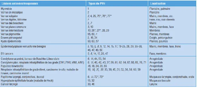 Figure 4. Lésions cutanéomuqueuses associées aux types de HPV. Saurat, 5ème éd. 