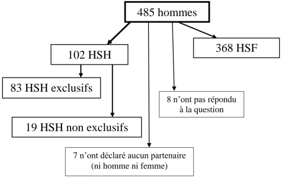 Figure 14 : Orientation sexuelle des hommes ayant répondu au questionnaire  HSH = hommes ayant des relations sexuelles avec des hommes 
