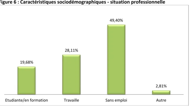 Figure 6 : Caractéristiques sociodémographiques - situation professionnelle 