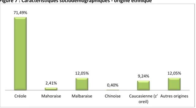 Figure 7 : Caractéristiques sociodémographiques - origine ethnique 