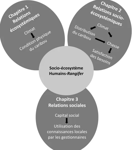 Figure 1. Différents angles par lesquels cette thèse aborde le socio-écosystème humains- humains-Rangifer