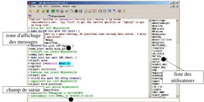 Figure 1 : Une session de tchat dans mIRC, le plus connu des clients de tchat pour le réseau IRC.