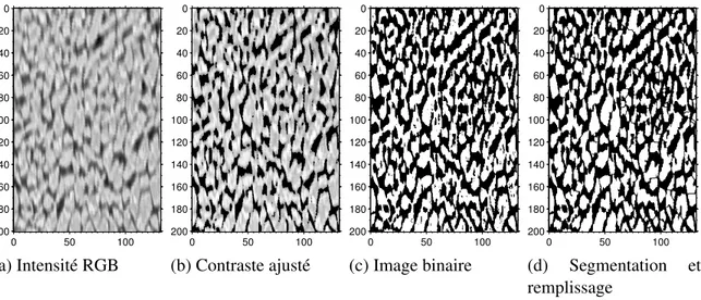 Figure 4: Quatre étapes du processus de traitement d’image : a) les valeurs RGB sont moyen- moyen-nées et une image en niveaux de gris est construite ; b) le contraste de l’image est ajusté ; c) l’image binaire est obtenue de la méthode à valeur seuil ; et