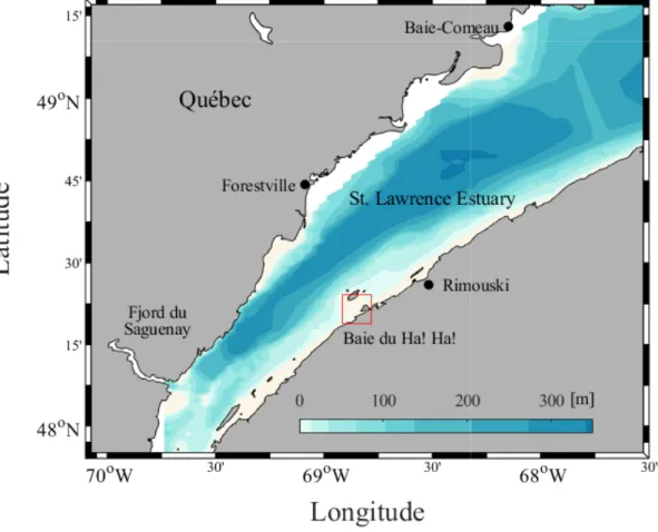 Figure 8: The Estuary of St. Lawrence, Canada. The red square indicates the location of Baie du Ha!Ha! in the Bic National Park near Rimouski, Québec, Canada.