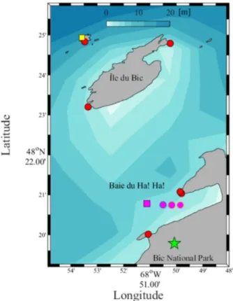 Figure 10: Map of Baie du Ha! Ha! showing the location of the camera (green star), ground control points used for image georectification (red circles), the Acoustic Wave And Current (AWAC) profiler (magenta square), the pressure gauges (magenta circles) an