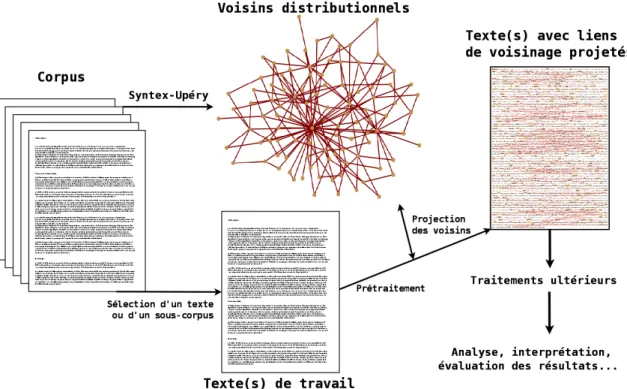Figure 3.1  Projection des voisins en texte