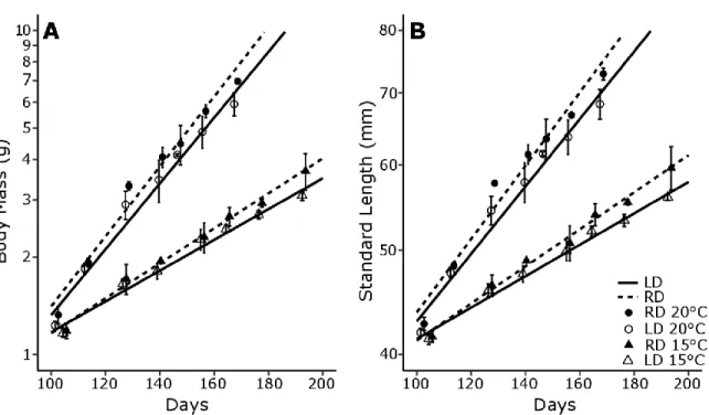Figure 7: Effect of diet and temperature on A) body mass (g) and B) standard length (mm)  in  logarithmic  scale