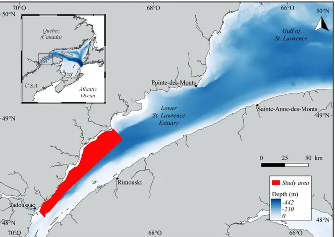 Figure  1.  The  Estuary  and  Gulf  of  St.  Lawrence,  Eastern  Canada.  The  area  where  this  study took place (in red) is located in the Lower St