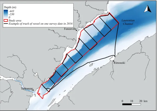 Figure  2.  Typical  sampling  design  on  a  survey  day  in  the  Lower  St.  Lawrence  Estuary  (LSLE)