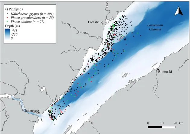 Figure 6. Spatial distribution of sightings of a) baleen whales (n = 549), b) odontocetes (n 