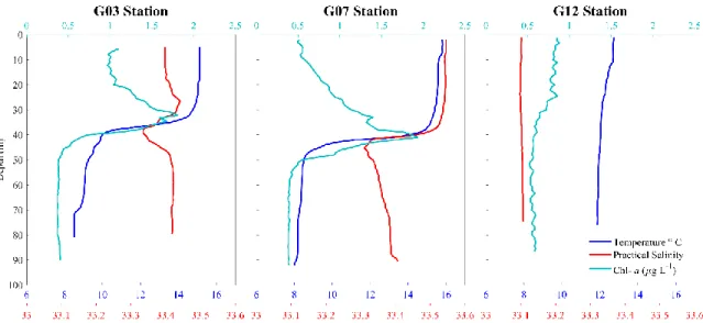 Figure 4: Vertical profiles of Temperature (º C, blue), Practical salinity (red) and Chl-a (µg  L -1 , green) at three stations (G03, G07 and G13) in the SJG