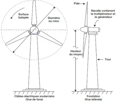 Figure 6: Schéma d’une éolienne. 