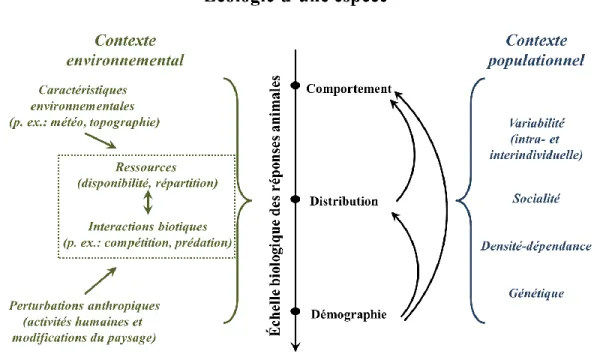 Figure  1.1.  Schématisation  non  exhaustive  des  facteurs  environnementaux  et  populationnels pouvant influencer différentes facettes de l’écologie d’une espèce