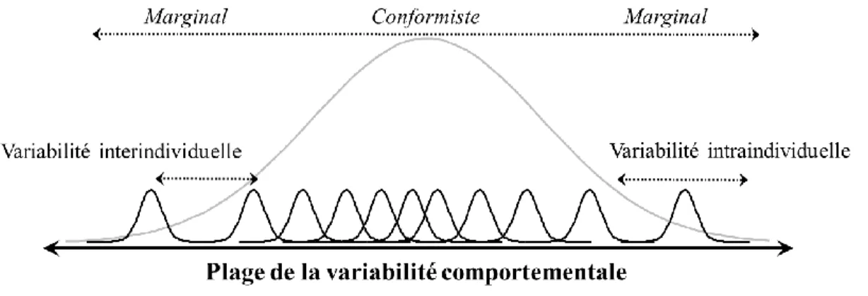 Figure 1.2. Schématisation de la variabilité comportementale au sein d’une population