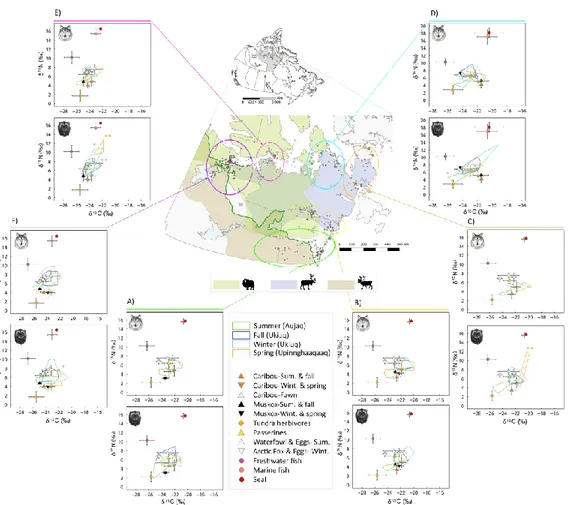 Figure 1.1  Study area and harvest locations of the wolves (white circles) and  wolverines (brown circles) across 13 Nunavut communities associated to 6 regions: 