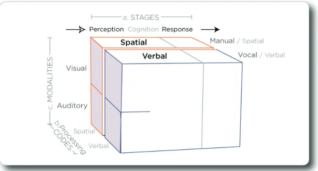 Figure 6. Diagram of Wickens’ multiple resources model showing only 3 dimensions: the  processing stages, codes and modalities, reproduced from Wickens (2002, p.163) 