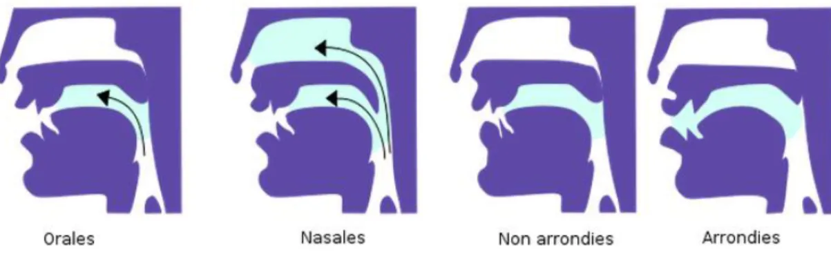 Figure 2 Classification des voyelles  68