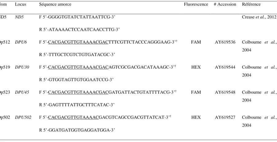 Tableau  1.  Paires  d'amorces  utilisées  dans  l'identification  des  daphnies  échantillonnées  à  Churchill  (Manitoba)  en  juillet  2014  à  l’espèce  et  au  clone  par  amplification  en  PCR  du  gène  mitochondrial  ND5  et  de  quatre  marqueurs