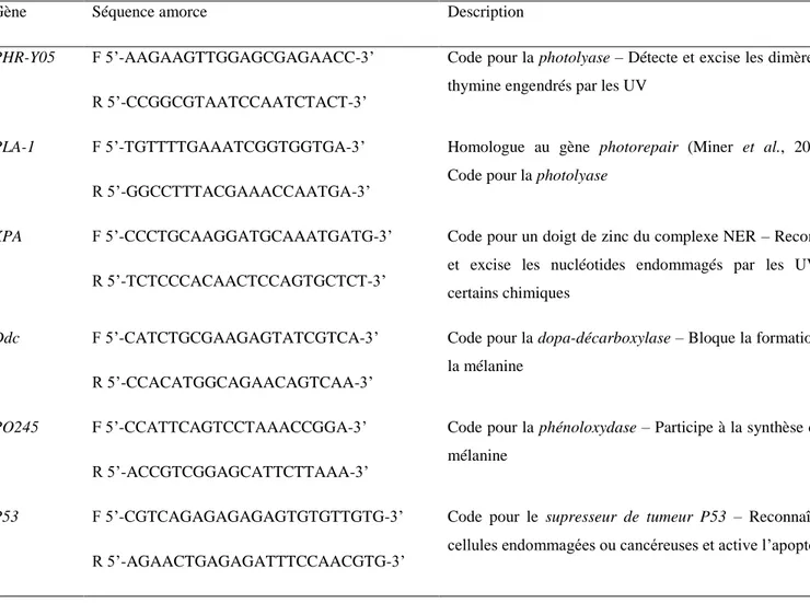 Tableau 2. Paires d'amorces utilisées dans la quantification relative de l’expression des gènes d’intérêt de la réponse à  une  exposition  aux  ultraviolets  des  daphnies  échantillonnées  à  Churchill  (Manitoba)  en  juillet  2014  en  qPCR,  plus  deu