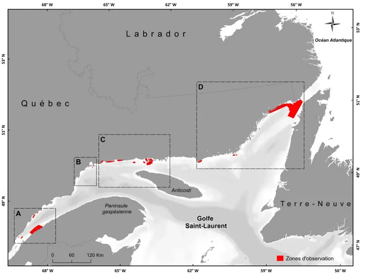 Figure 8 : Représentation des zones de présence observées (par 27 pêcheurs) de S. boreas dans l’estuaire et le nord du golfe  du Saint-Laurent