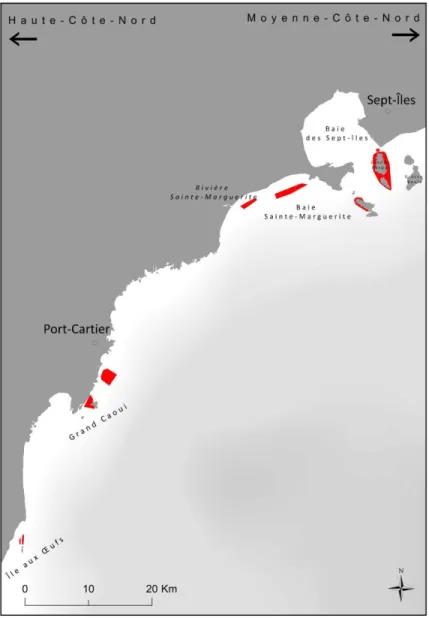 Figure  8.  B  : Représentation des zones d’observation de  S.  boreas  dans  le  nord-ouest  du  golfe du Saint-Laurent (HCN)