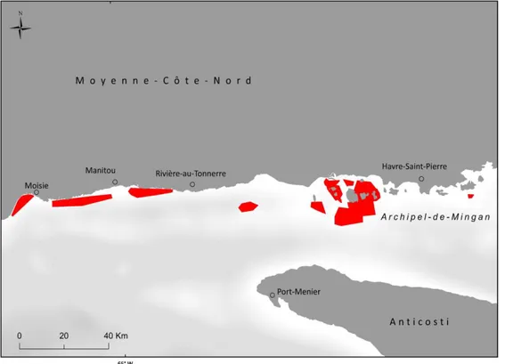 Figure  8.  C  :  Représentation  des  zones  d’observation  de  S.  boreas  dans  le  secteur  de  la  Moyenne-Côte-Nord (MCN)