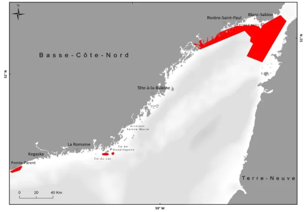Figure 8. D : Représentation  des zones d’observation S. boreas dans le secteur de la Basse- Basse-Côte-Nord (BCN)